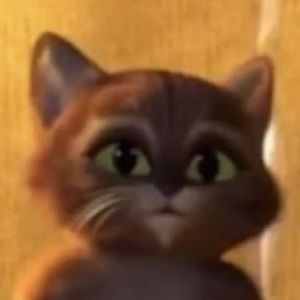 Meet your Posher, Angel